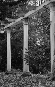 DSC_7486_800