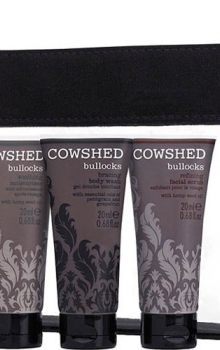 cowshed_pocketcow_10