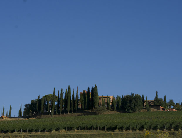 Fonteverde7